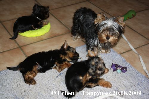 Happyness und die I-chen Happyness und die i-chen